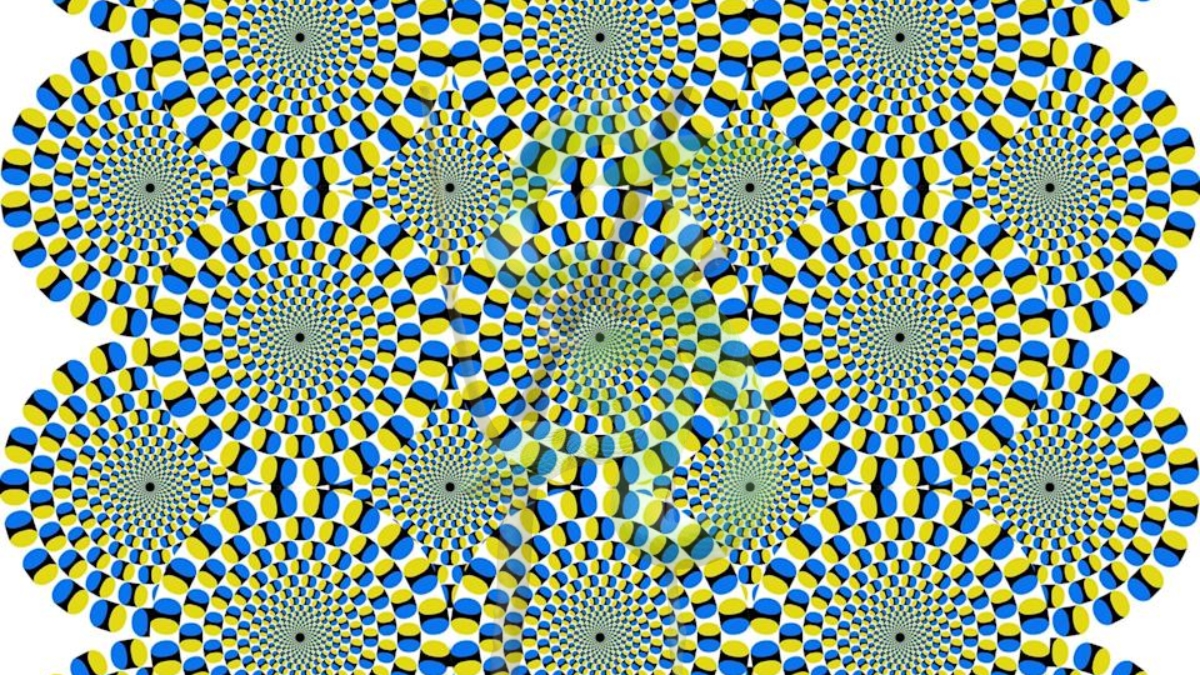 If you Possess Sharp Eagle-Eye Vision With 20/20 Eyesight, Then Using Your 143+IQ Level, Find Out Which Animal is hidden in this Radial Optical Illusion