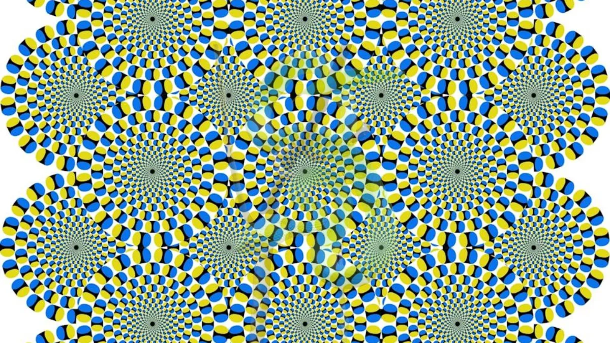 Find Out Which Animal is hidden in this Radial Optical Illusion