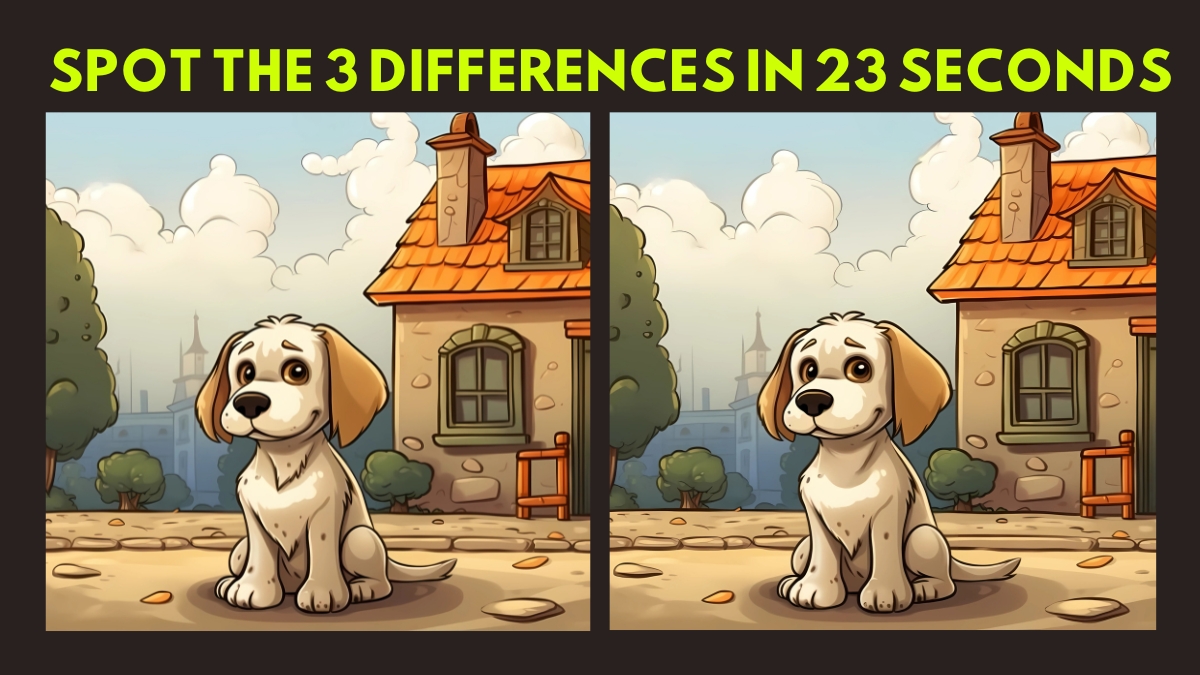 Can You Spot 3 Differences in the Sitting Dog Image in Just 23 Seconds?
