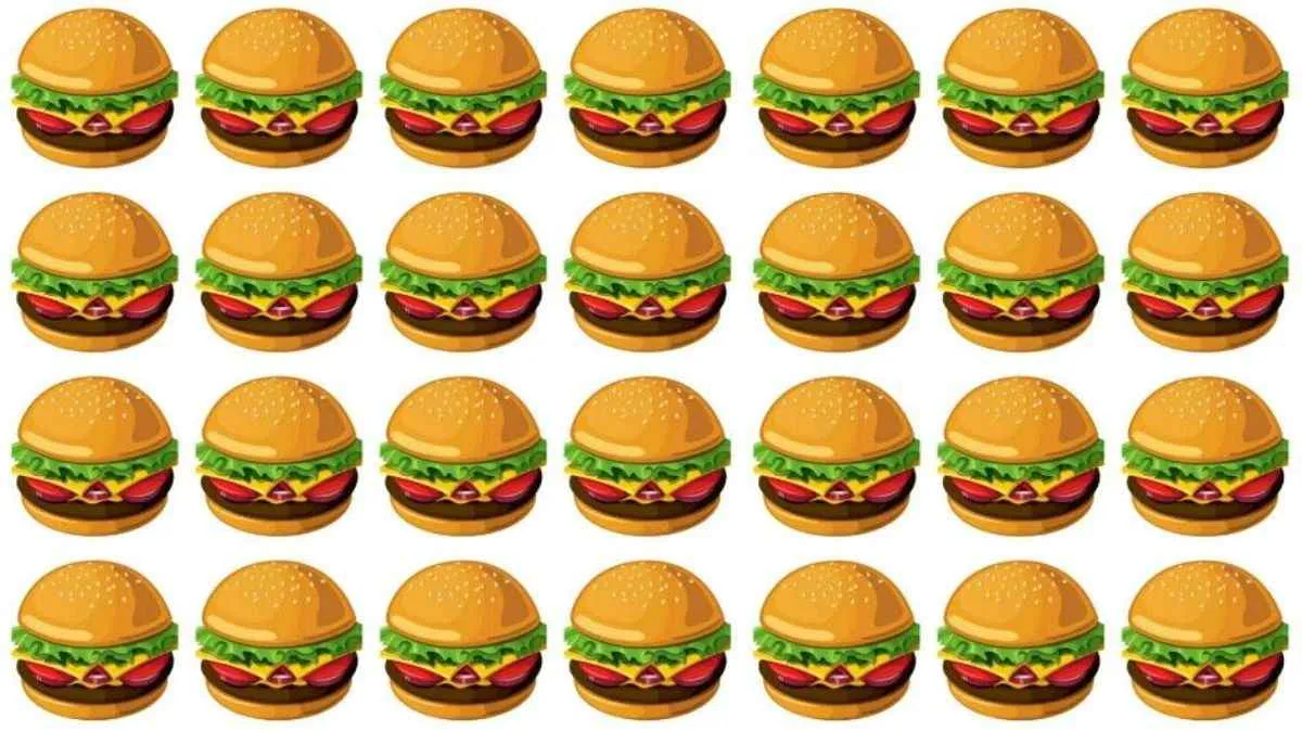 Spot the odd one out in this burger puzzle.