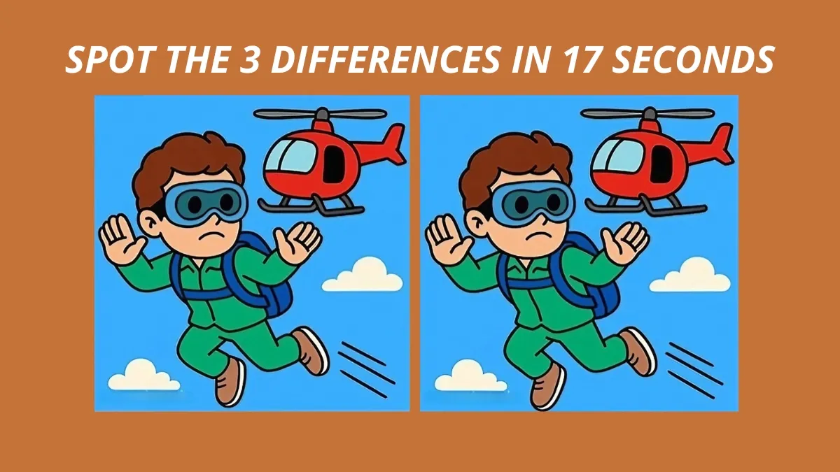 Spot 3 differences in 17 seconds