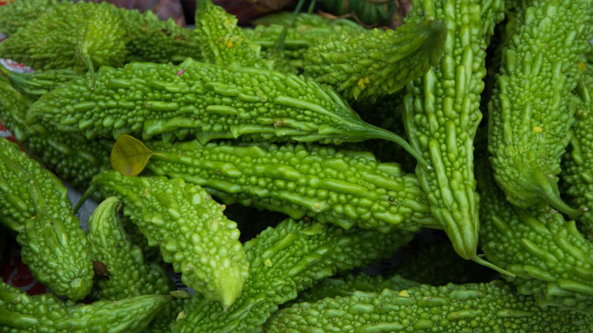 What is Karela Called in English?