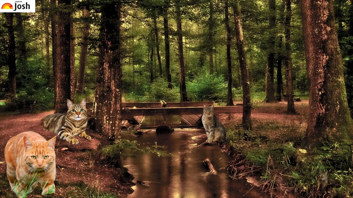 Find the Fourth Cat in the Green Forest of this Optical Illusion