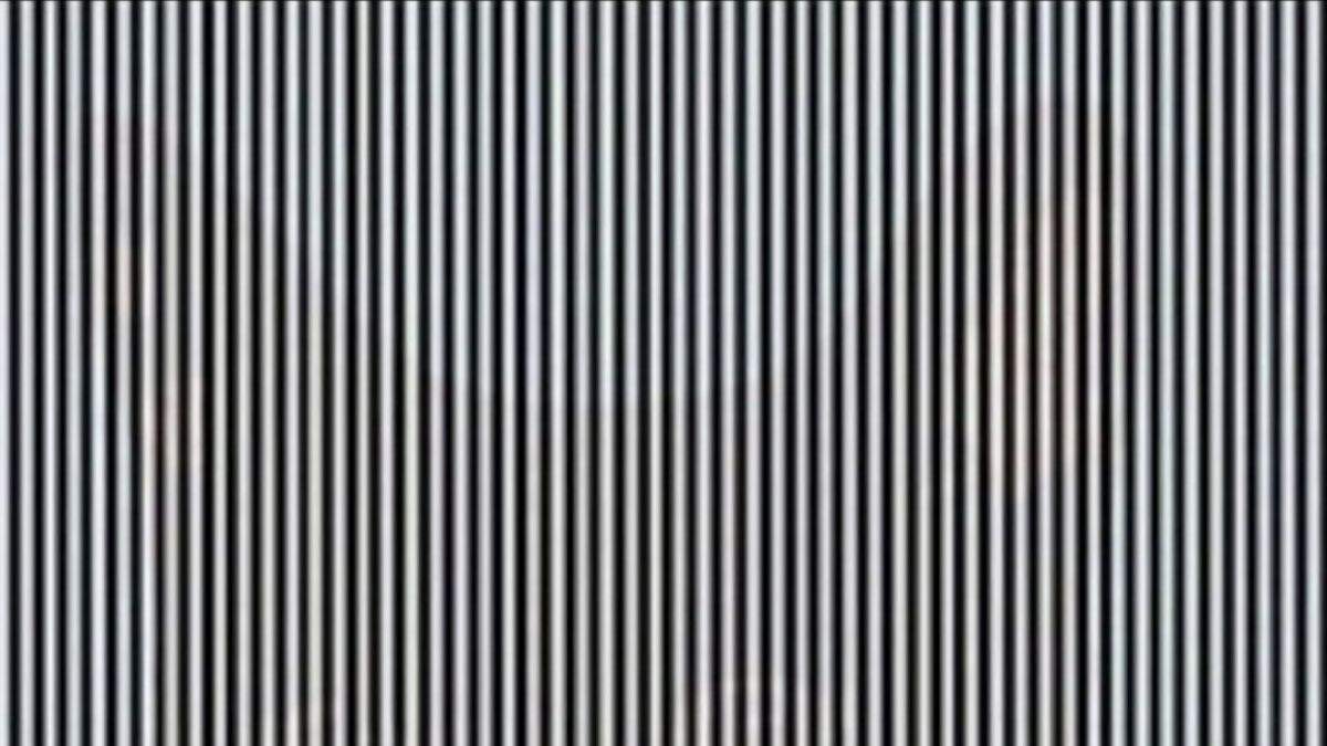 Prove Your IQ Is Higher Than 300! Can You Spot The Hidden Image In This Optical Illusion In 22 Seconds?
