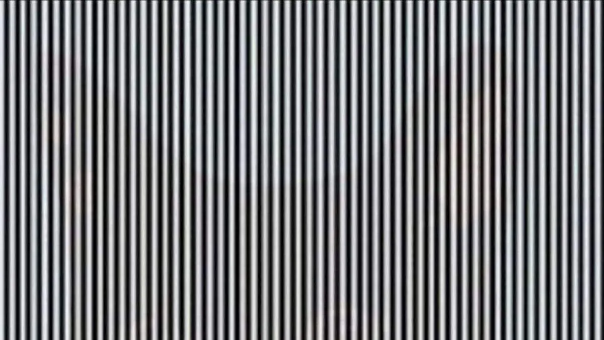 Spot the hidden image in this optical illusion.