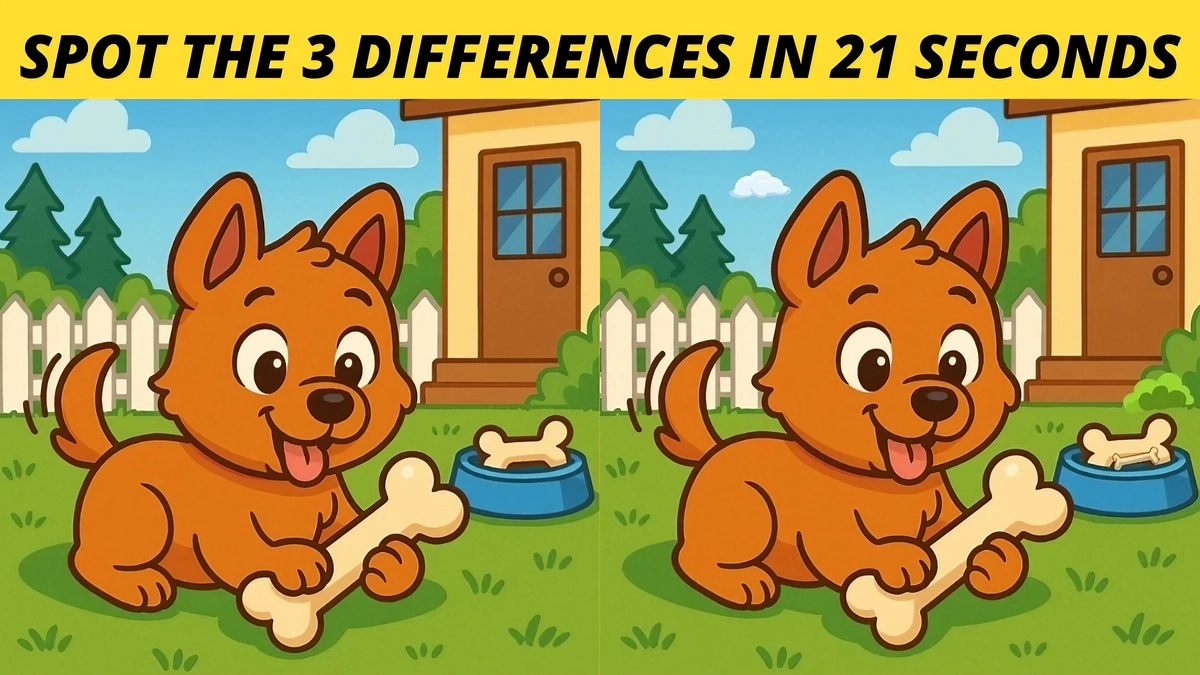 Spot the 3 Differences Between Puppy Playing With Bone in 21 Seconds!
