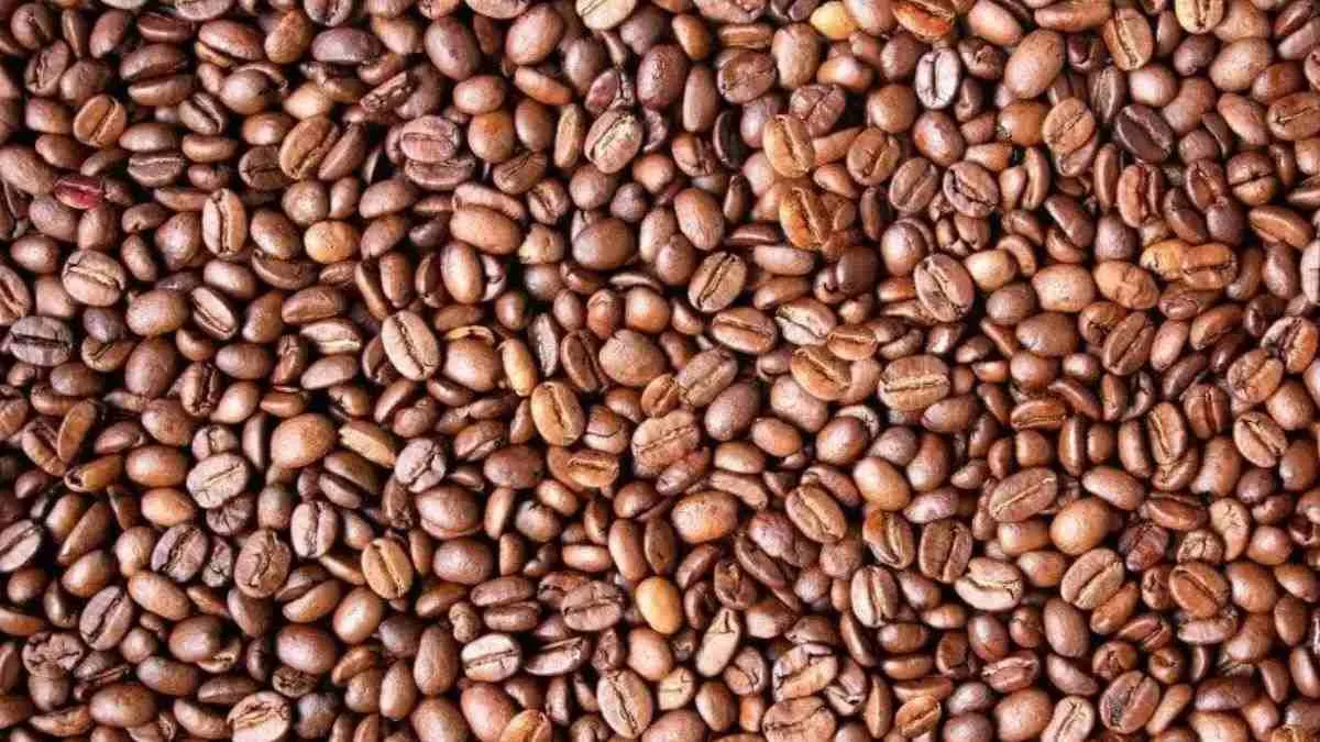Spot a hidden face in this optical illusion image.