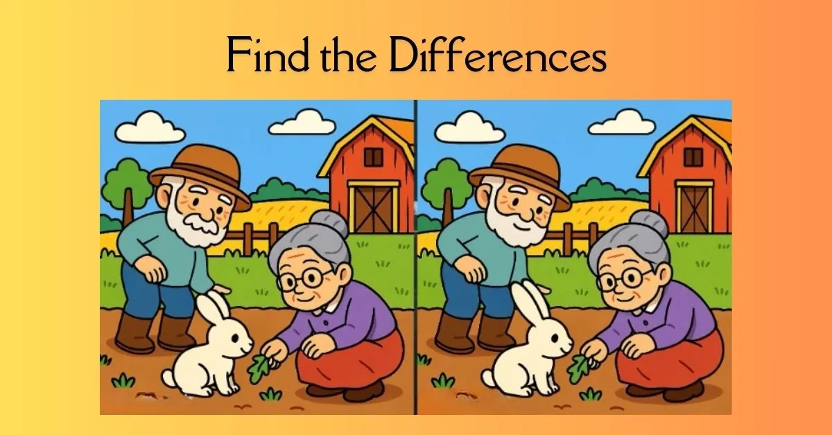Spot 3 Differences in Old Couple Feeding A Rabbit