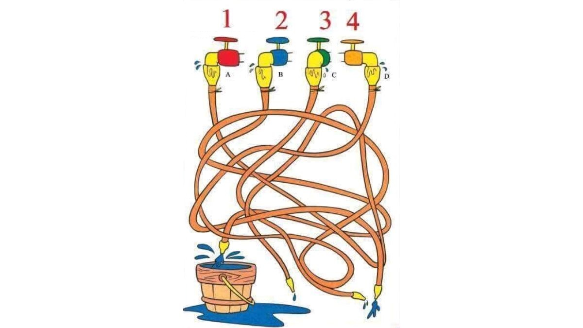 IQ Test: Solve This Viral Puzzle In 10 Seconds! Which Tap Is Filling The Bucket?
