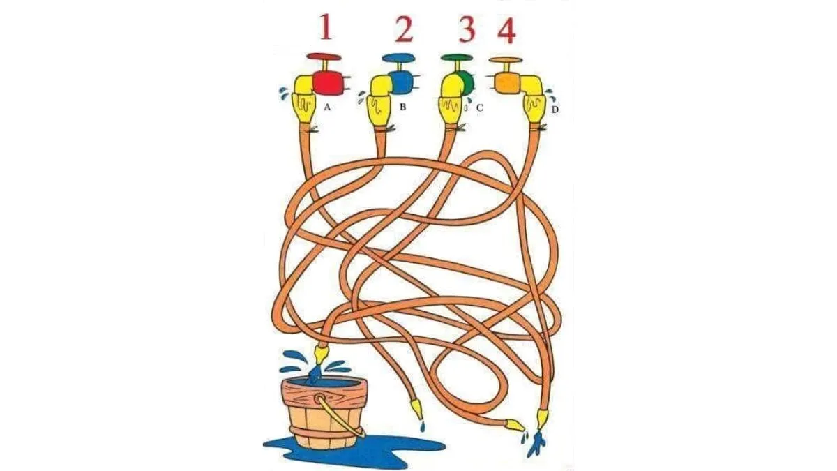 Test your IQ: Tell which tap is filling up the bucket?