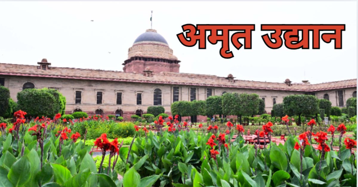 Amrit Udyan: इस दिन से आम लोगों के लिए खुल रहा राष्ट्रपति भवन का अमृत उद्यान, इस गेट से होगी एंट्री