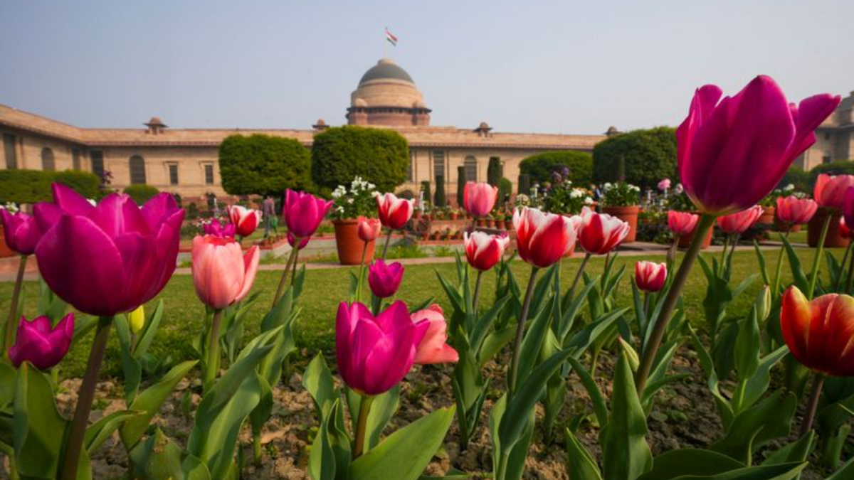 Amrit Udyan Summer Annuals Edition 2025: Check Entry Details, Opening Dates and Timings