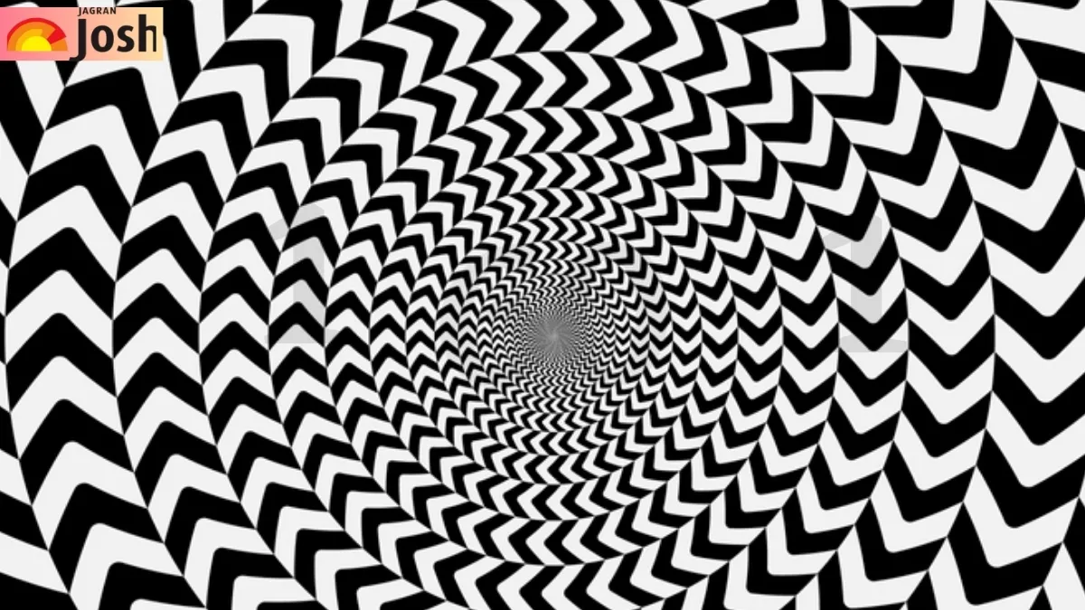 Find Out Which Number is Hidden in this Motion Optical Illusion