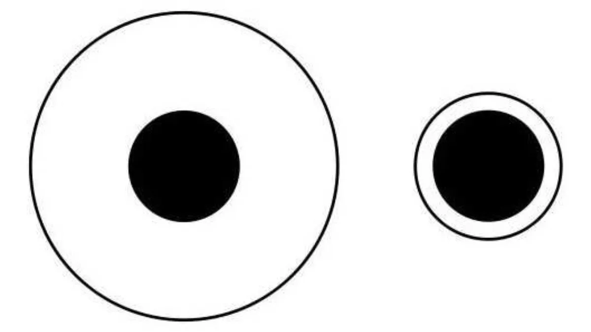 Which black circle is bigger?