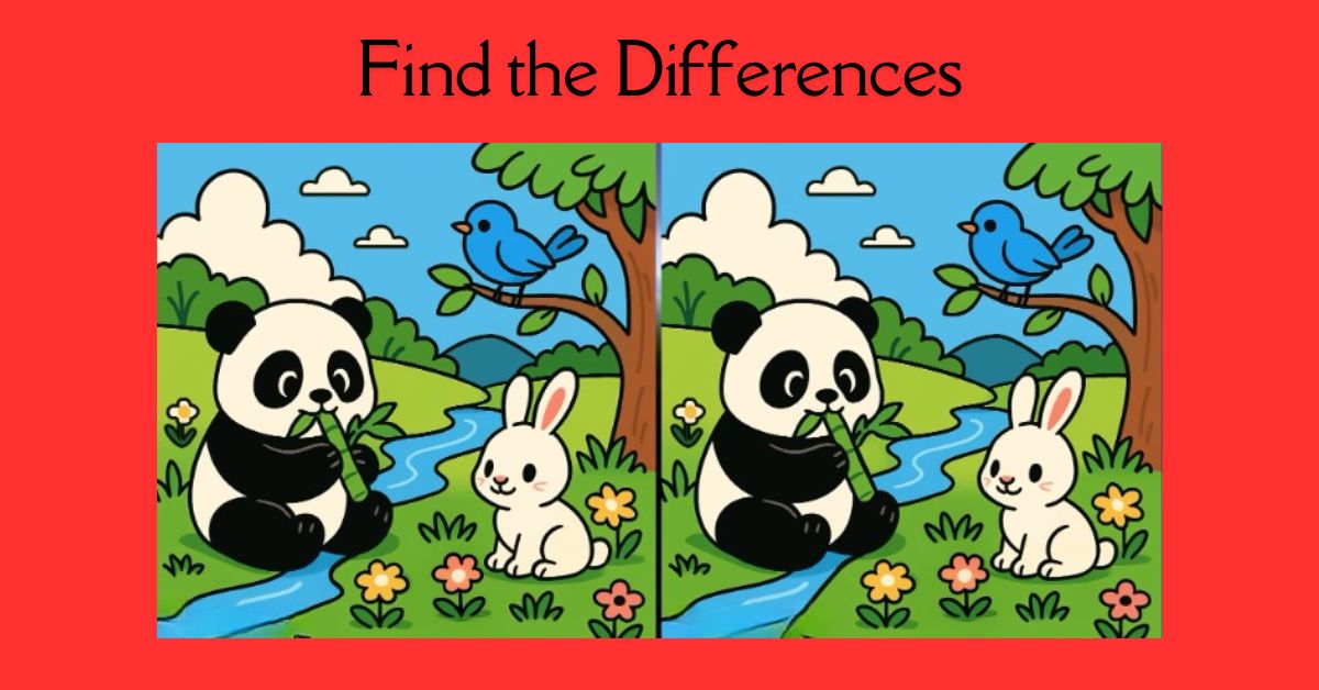 Spot the 3 Differences in Panda Eating Bamboo Beat the 51-Second Challenge!