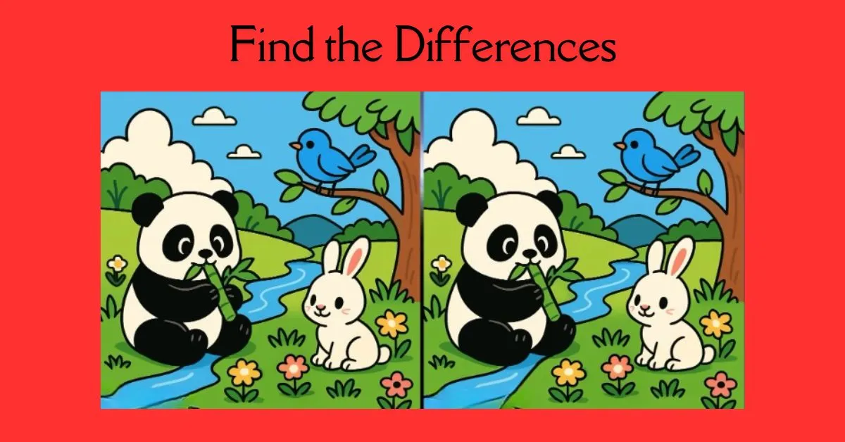 Find 3 Differences in Panda Eating Bamboo