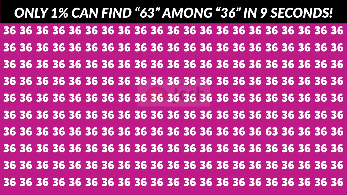 Visual Illusion: Only 1% with Hawk Eyes can find 63 in 9 seconds!