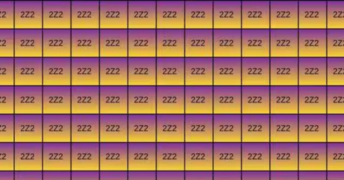 Only Those With a High IQ of 197 and Hawkeye-Level Observation Skills Can Detect the Hidden 222 Among the 2Z2 in This Colourful Puzzle
