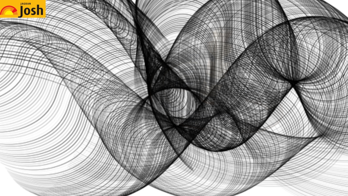 Using Your HD Eye Skill with 20/20 Vision, Find Out the Hidden Animal in this Geometrical Line-Based Optical Illusion