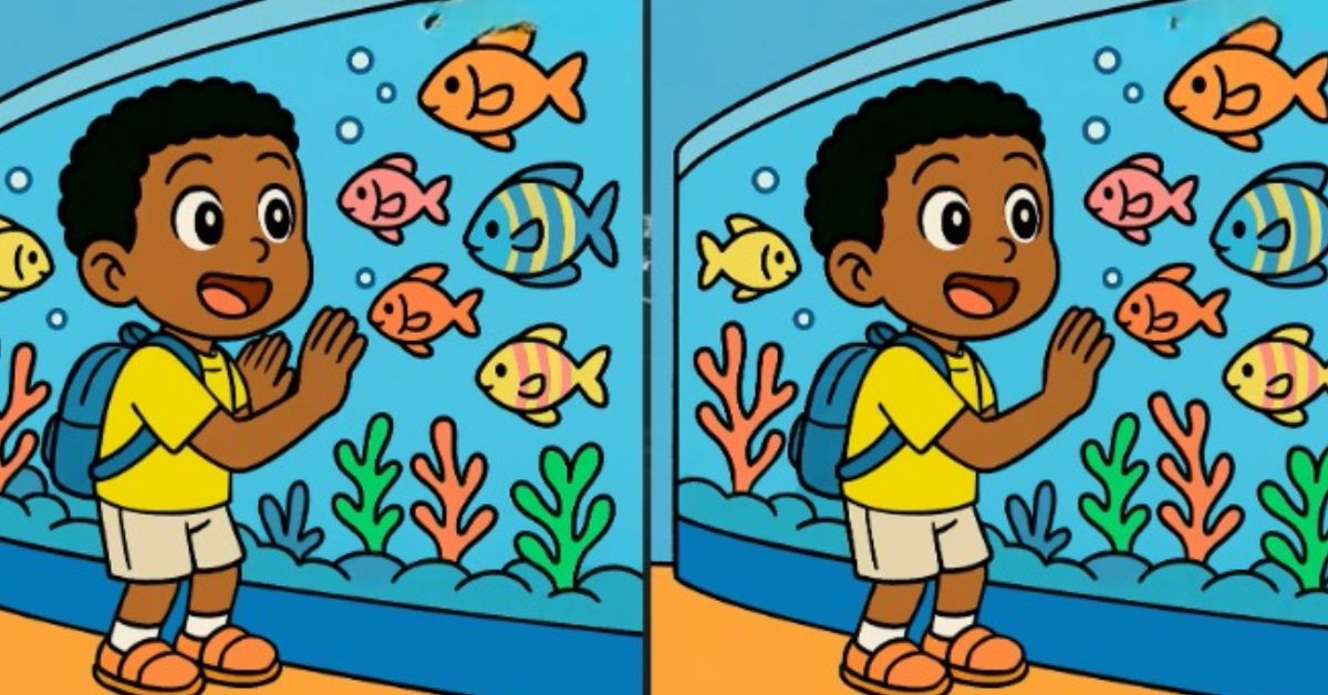 Spot the 3 Differences in Boy Watching Fish in Aquarium Beat the 45-Second Challenge!
