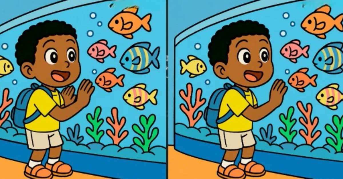 Spot 3 Differences in Boy Watching Fish in Aquarium