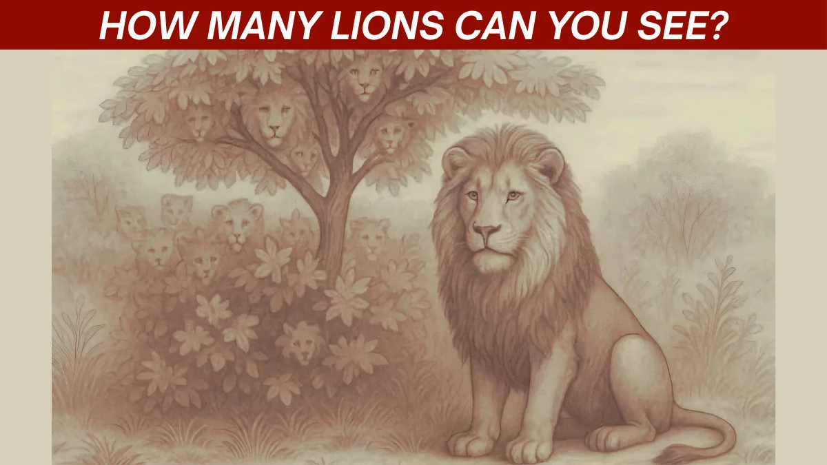 How many lions?