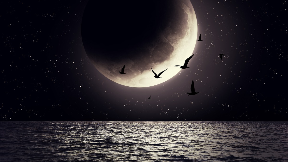 What Is a Black Moon? See When You Can Spot the Rare Event in the U.S