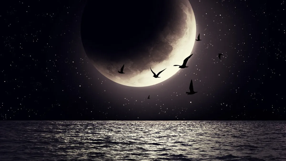 Black Moon