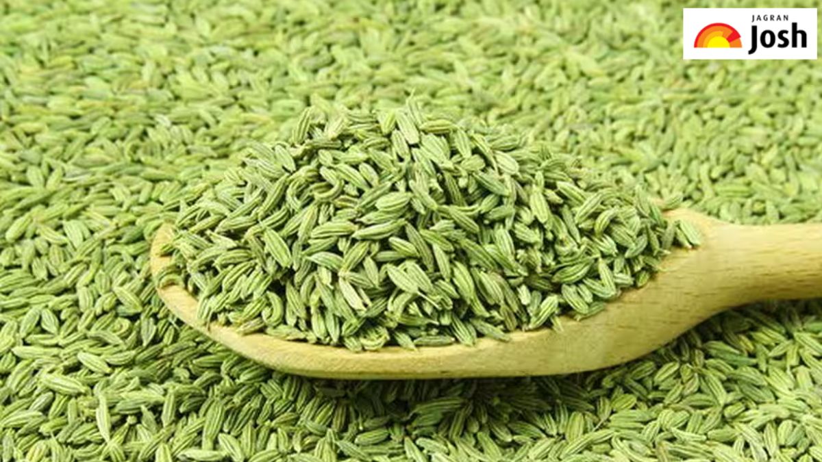 दुनिया में सौंफ का सबसे बड़ा उत्पादक देश कौन-सा है, यहां जानें
