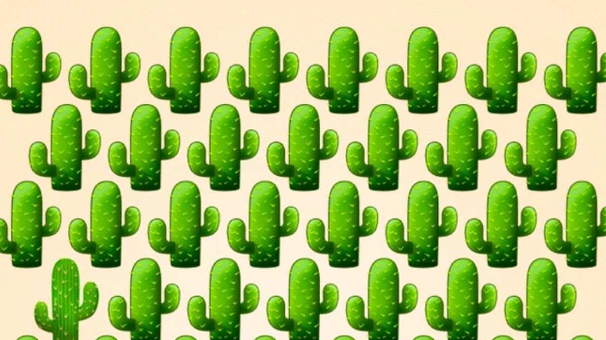 Can You See The Different Cactus? Only 1 Out Of 100 With Sharp Attention To Detail Spot It In 15 Seconds!