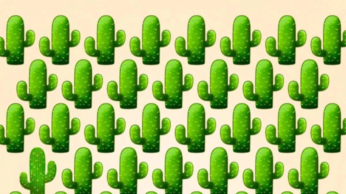 Spot the different-looking cactus.