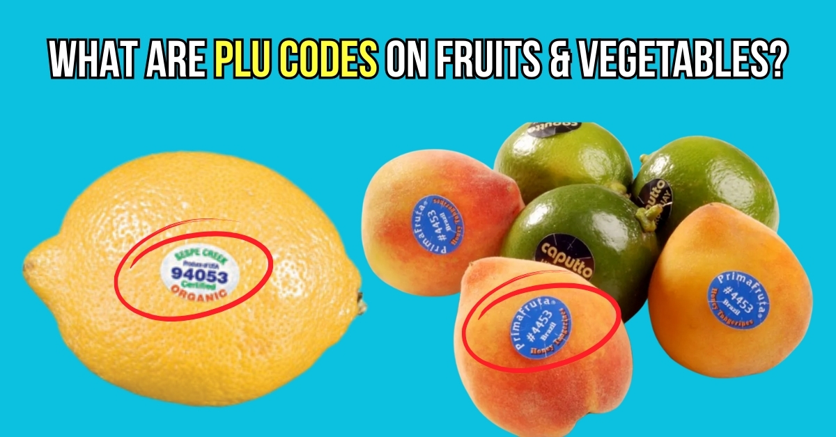 What are PLU Codes on Fruits and Vegetables? How to Decipher Them? Check Here