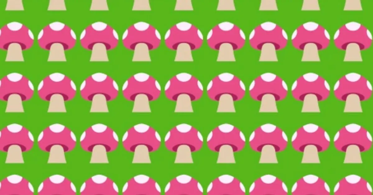 Find the Hidden Odd Mushroom