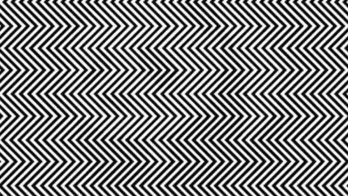 Use Your Keen Eyes To Spot The Hidden Animal In This Zigzag Pattern In 21 Seconds!

