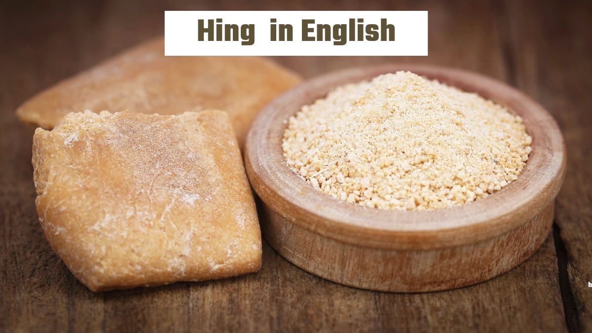 What is Hing Called in English?