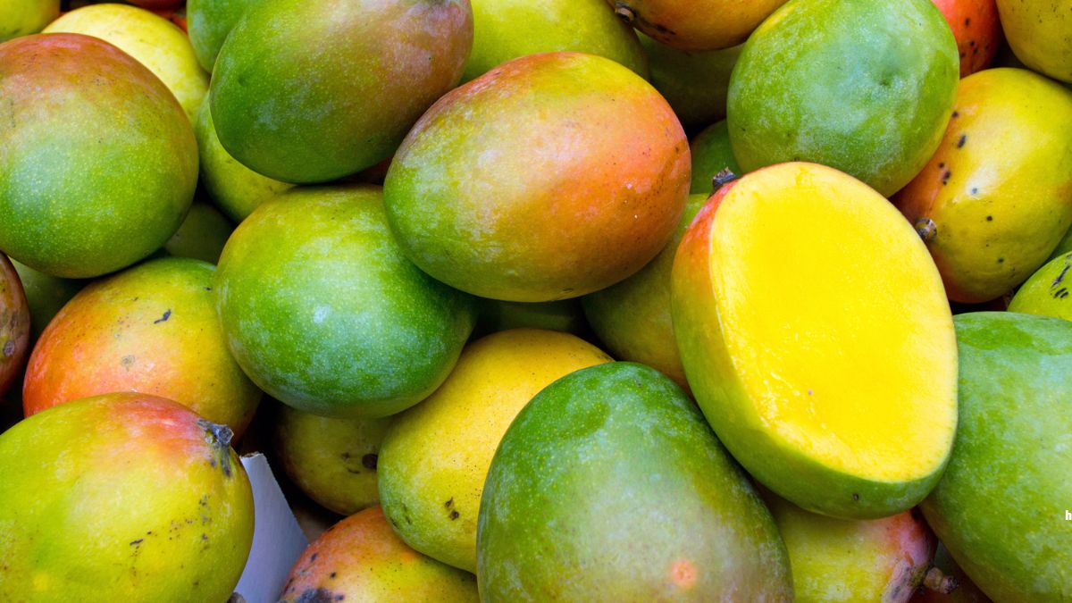 Most Expensive Mangoes in India