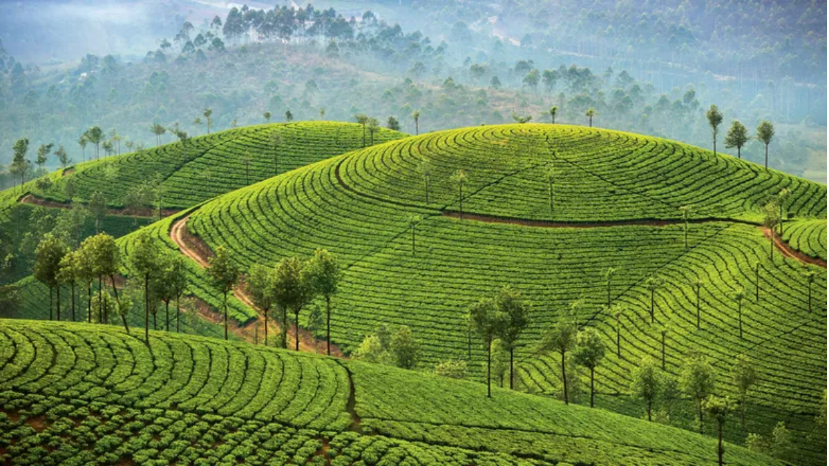 Which is the First Digitally Literate State in India?