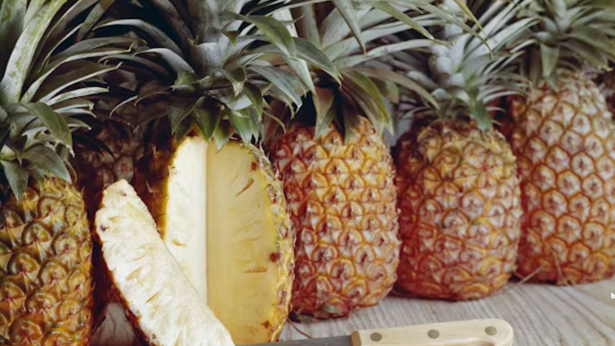 Which Country is the Largest Producer of Pineapples in the World?