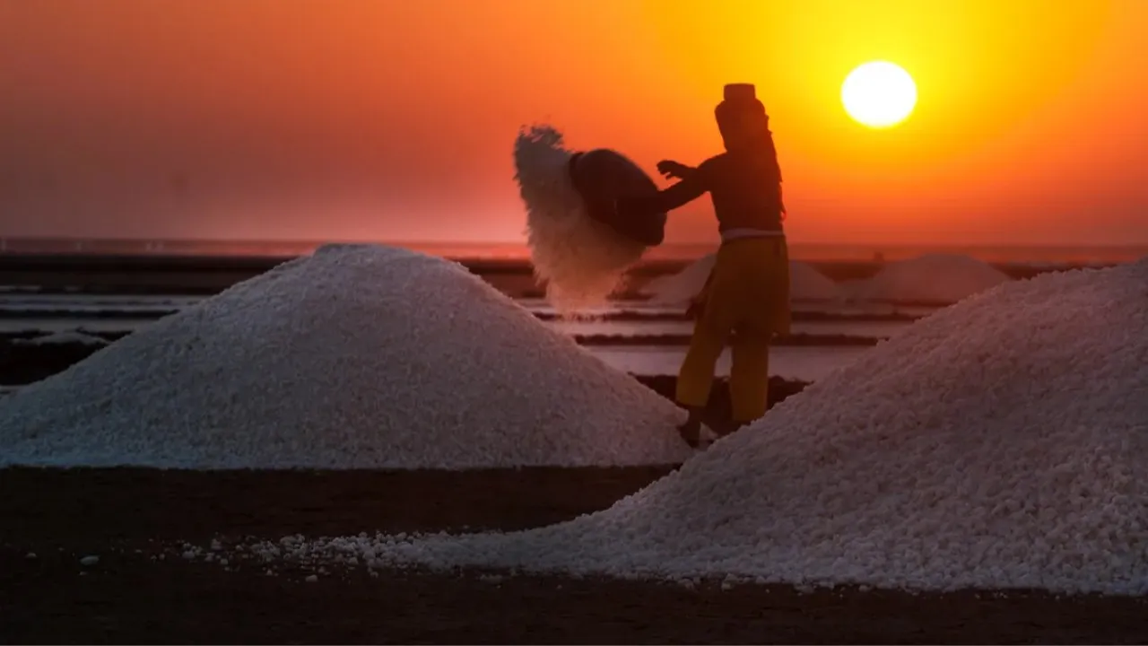 Salt Producing Country