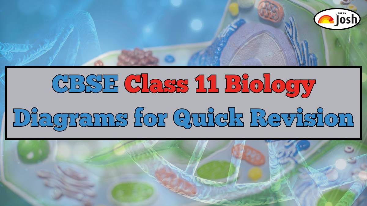 CBSE Class 11 Biology Diagrams for Quick Revision, Download PDF