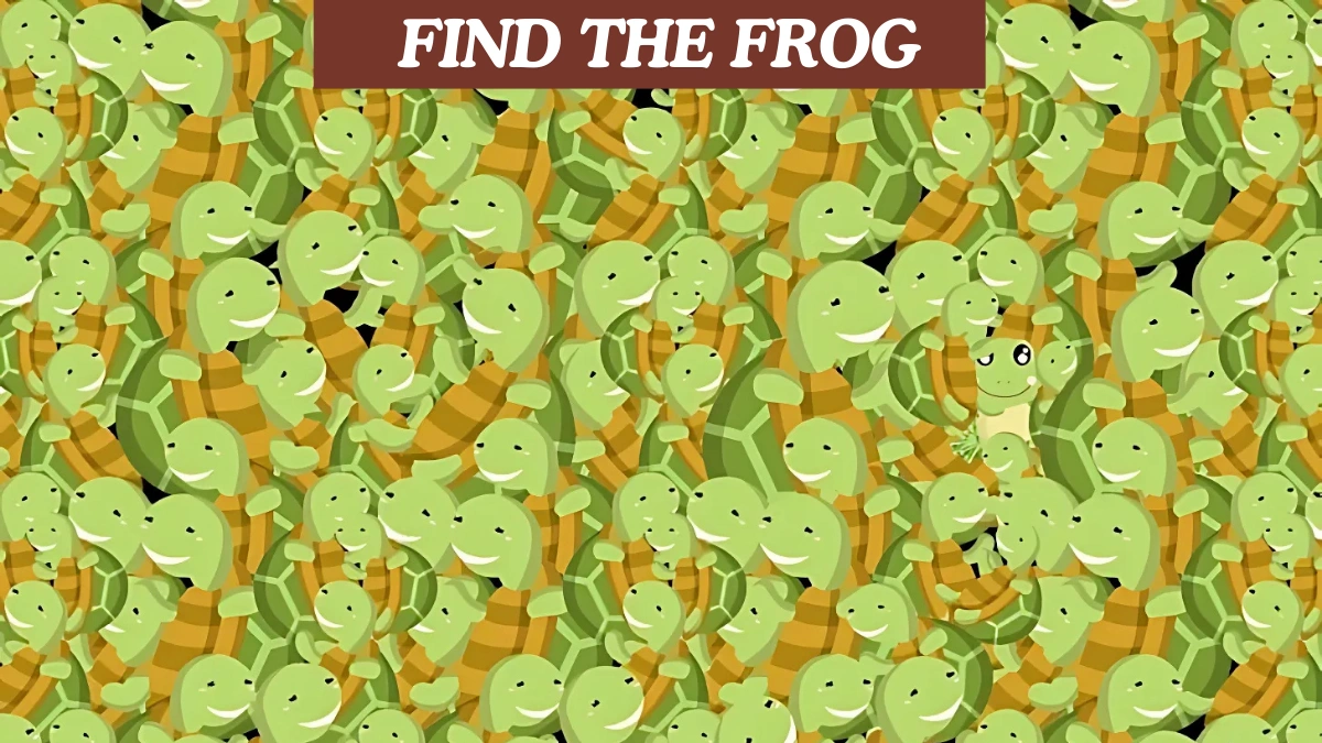 You have HD eyes and an IQ above 150 if you can find the frog hiding among turtles in this Optical Illusion Eye Test in 7 seconds!
