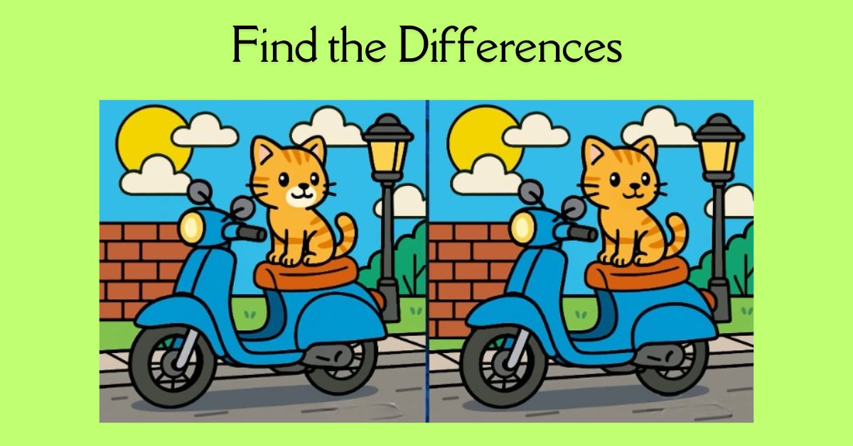 Spot the 3 Differences in Cat Sitting on a Scooter Beat the 27-Second Challenge!