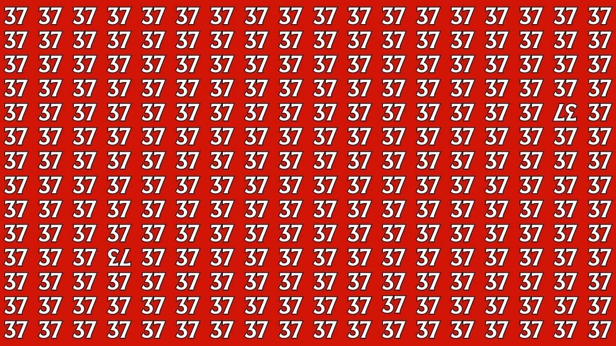 If you possess HD-Eye Vision with 20/20 EyeSight, then find out the Inverted “37” and “73” in this “37” Repeating Unintelligible Brain Teaser Series