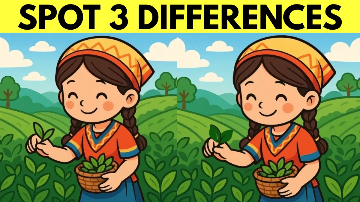 Spot the differences girl plucking tea leaves in 15 seconds!