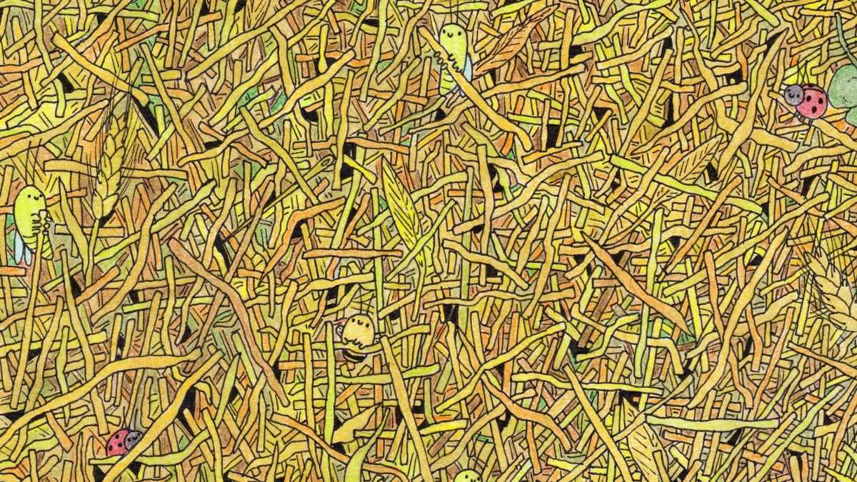 If You Are Among Top 1% Exceptionally Visually Sharp, Then Find The Needle In This Haystack In 15 Seconds!