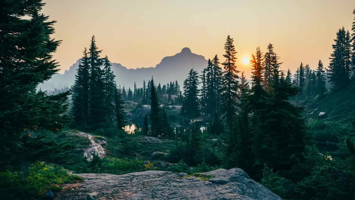 Which U.S. State is Known as the Pine Tree State?