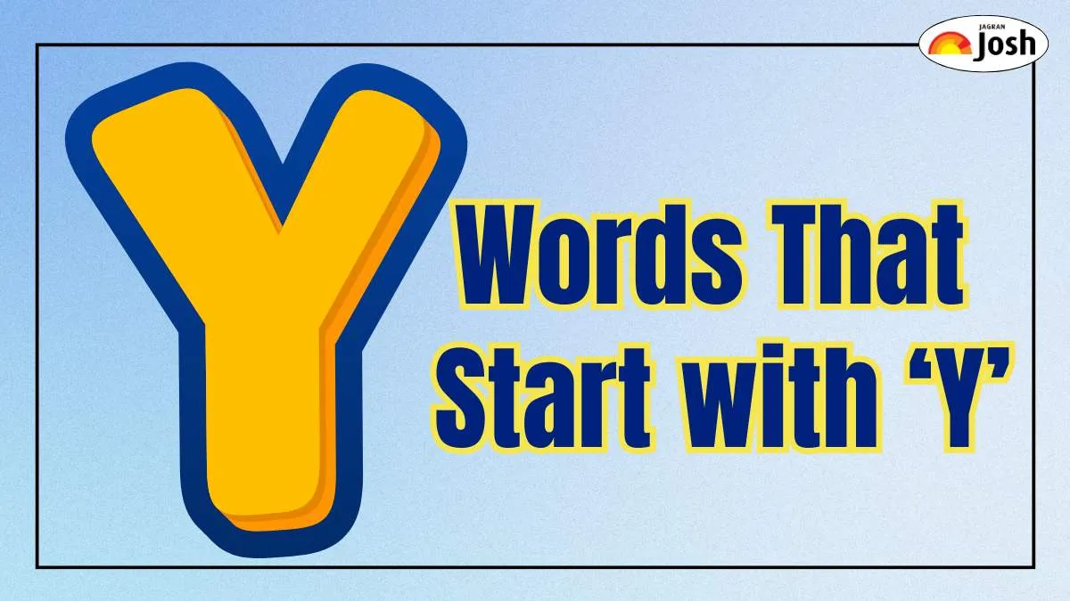 Words That Start with Y: Nouns, Action, Describing and Everyday Use Words