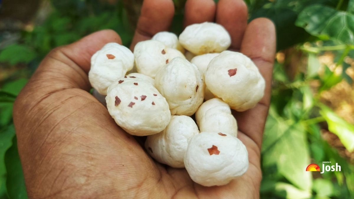 दुनिया में मखाने का सबसे बड़ा उत्पादक देश कौन सा है? जानें यहां