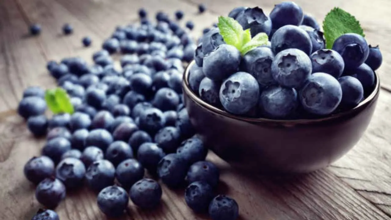 Blueberry producer