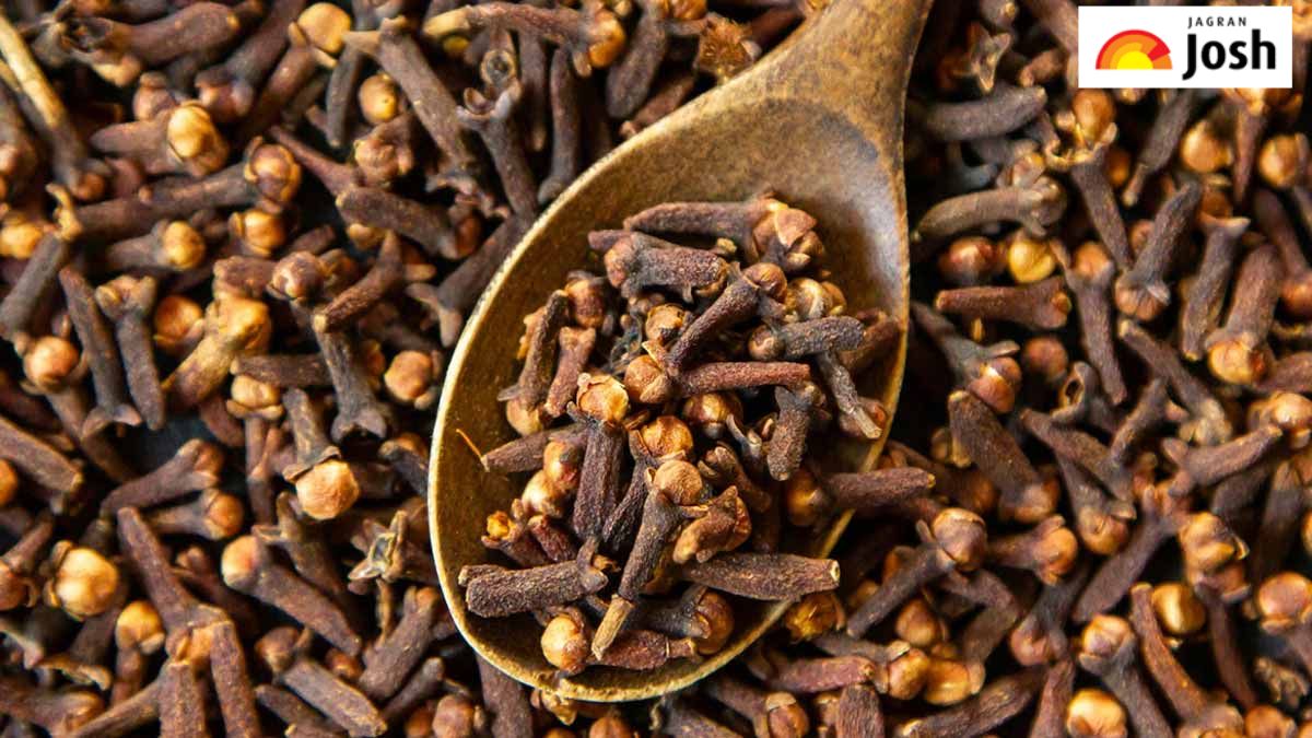 भारत के इस राज्य में होता है लौंग का सबसे अधिक उत्पादन, जानें क्या है नाम
